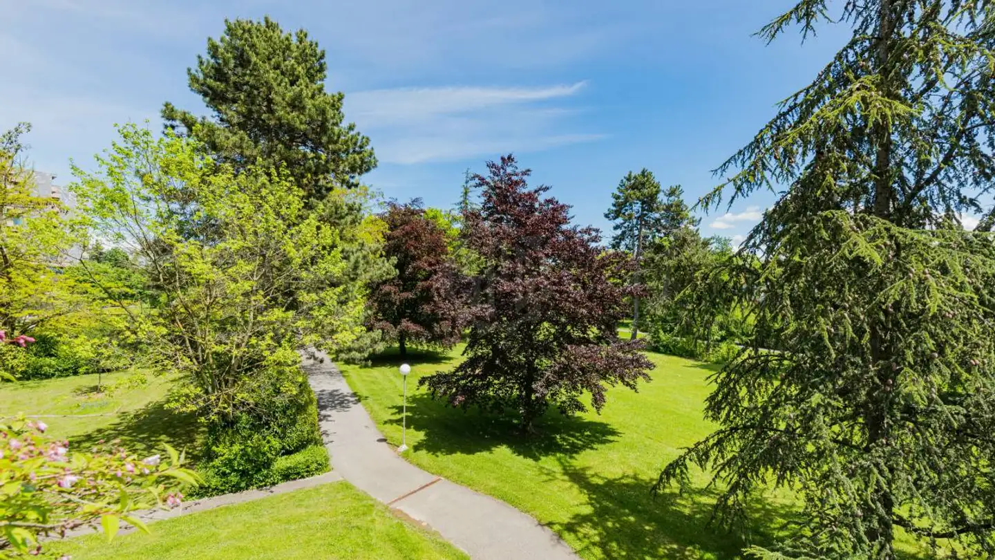 Appartamento in vendita - 1218 Le Grand-Saconnex - Photo 4