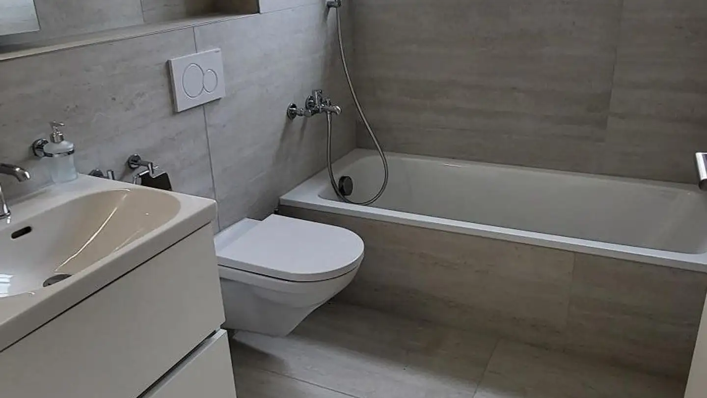 Attique à vendre - Pappelweg 20, 5734 Reinach AG - Photo 3