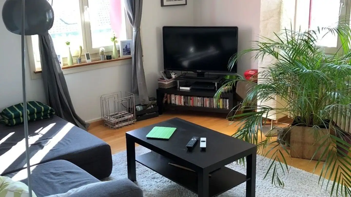 Wohnung mieten - Zündelgutstrasse, 8203 Schaffhausen - Foto 3