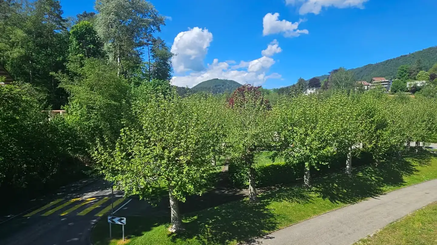 Appartement à louer - Rue de l'Écluse 53, 2740 Moutier - Photo 3
