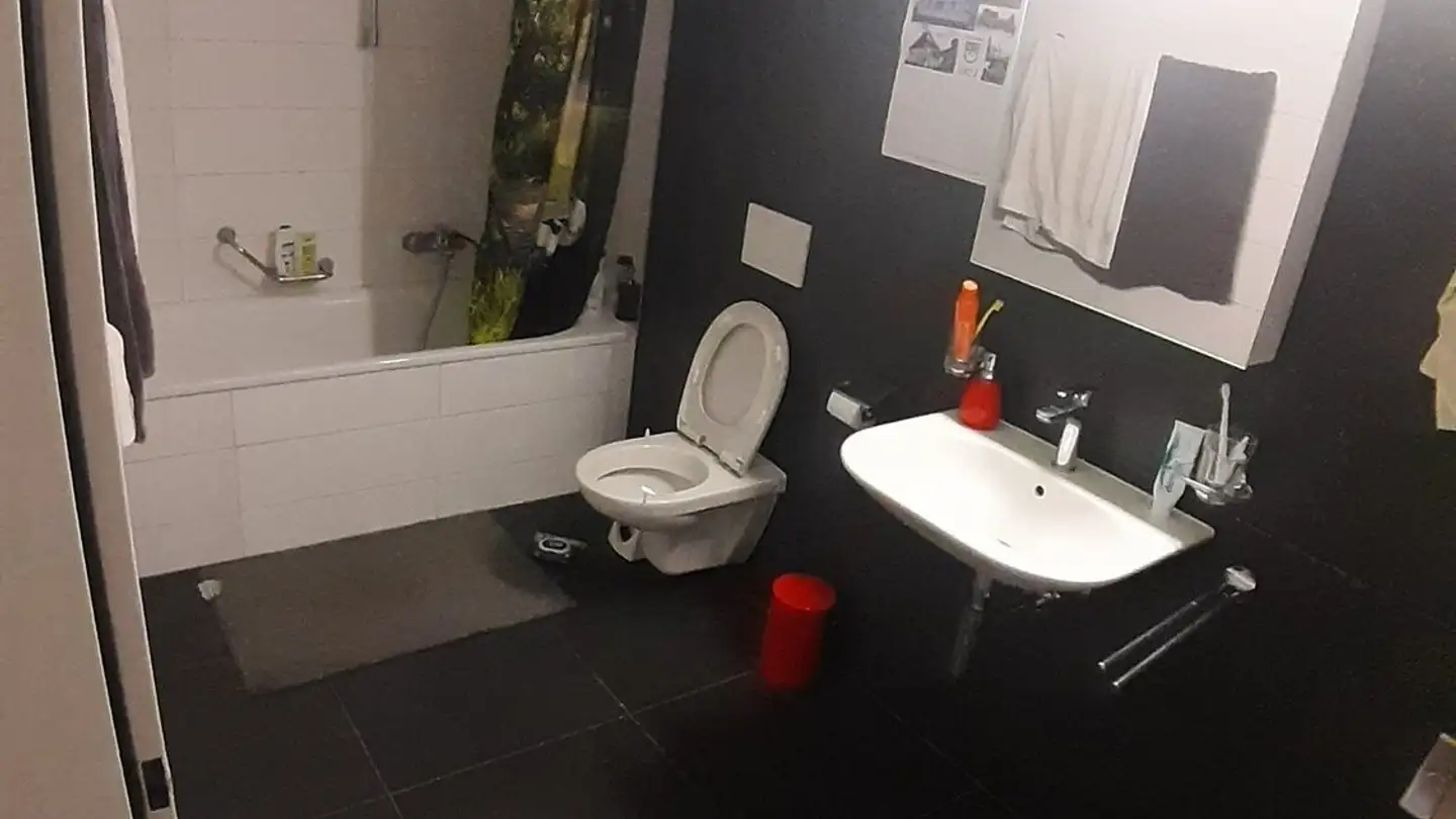 Chambre à louer - Rue De Lausanne 49f, 1020 Renens VD - Photo 2