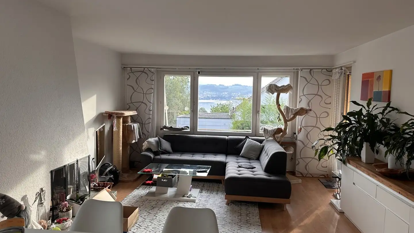 Appartamento in affitto - Glärnischstrasse 141, 8708 Männedorf