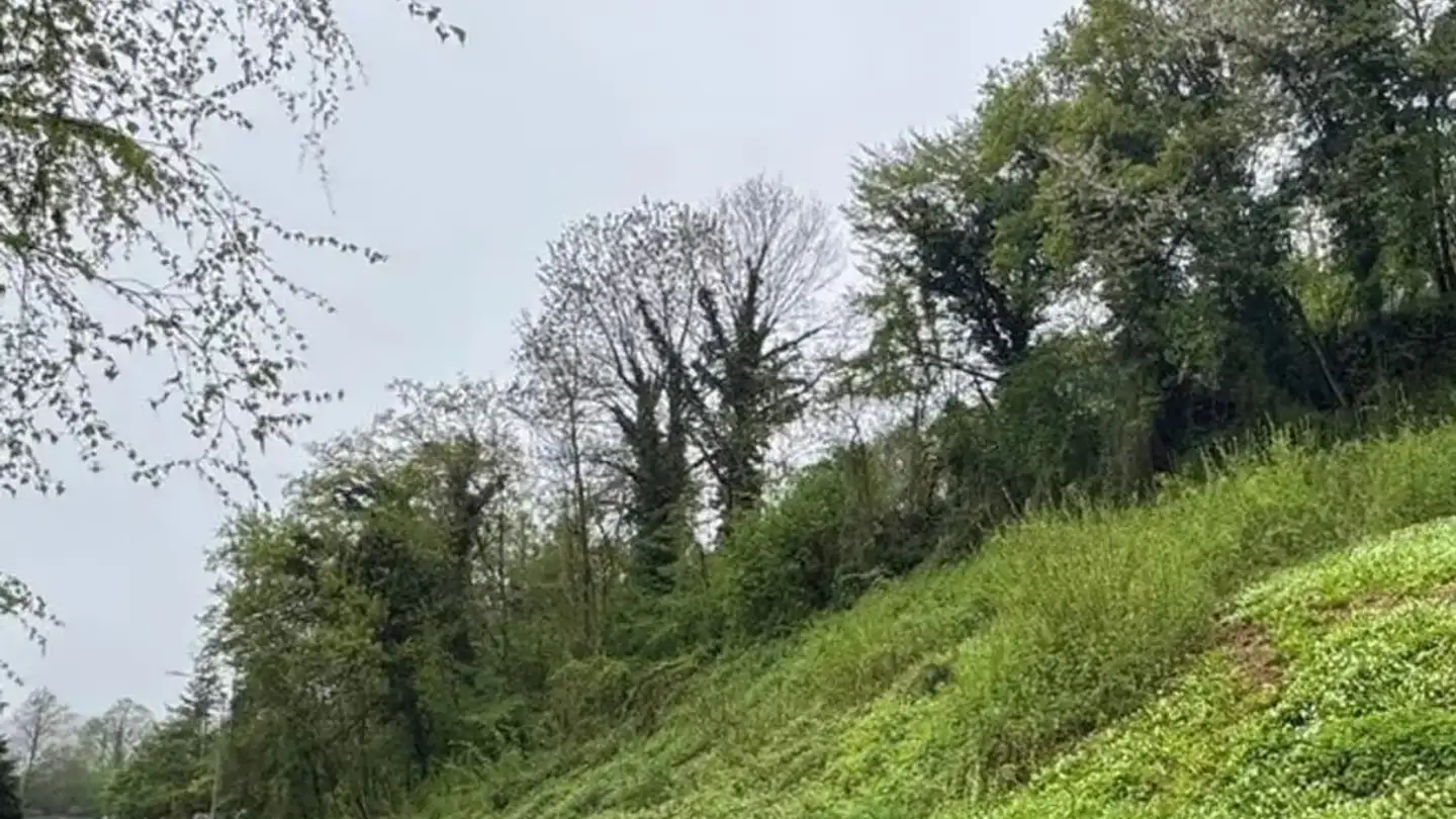 Constructible plot for sale - Rankwog, 4632 Trimbach