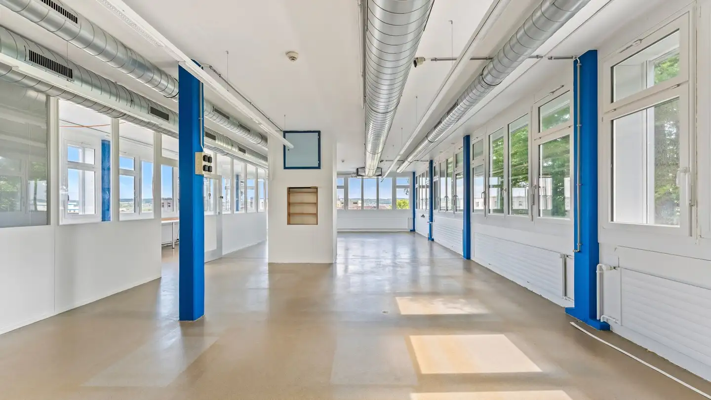 Immeuble industriel à vendre - Diebold Schilling-Strasse 51, 2544 Bettlach - Photo 4