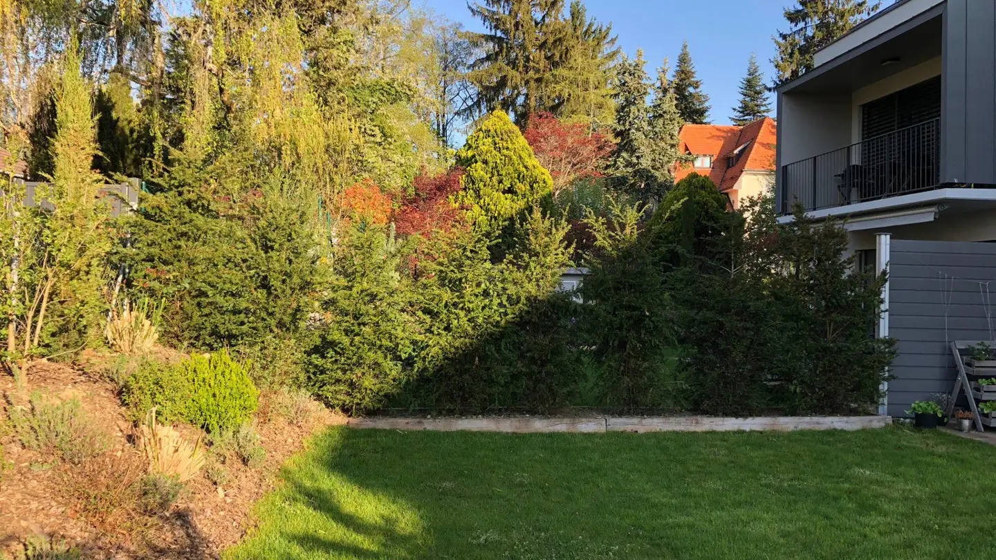 Appartamento in affitto - 1290 Versoix - Foto 3