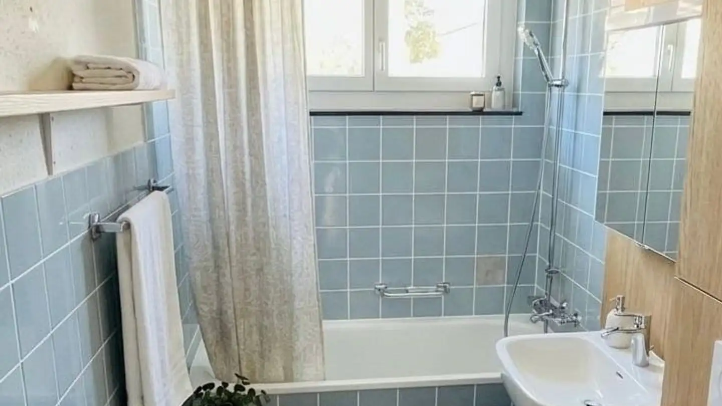 Appartamento in affitto - Untere Storchenhofstrasse 309, 5044 Schlossrued - Foto 3