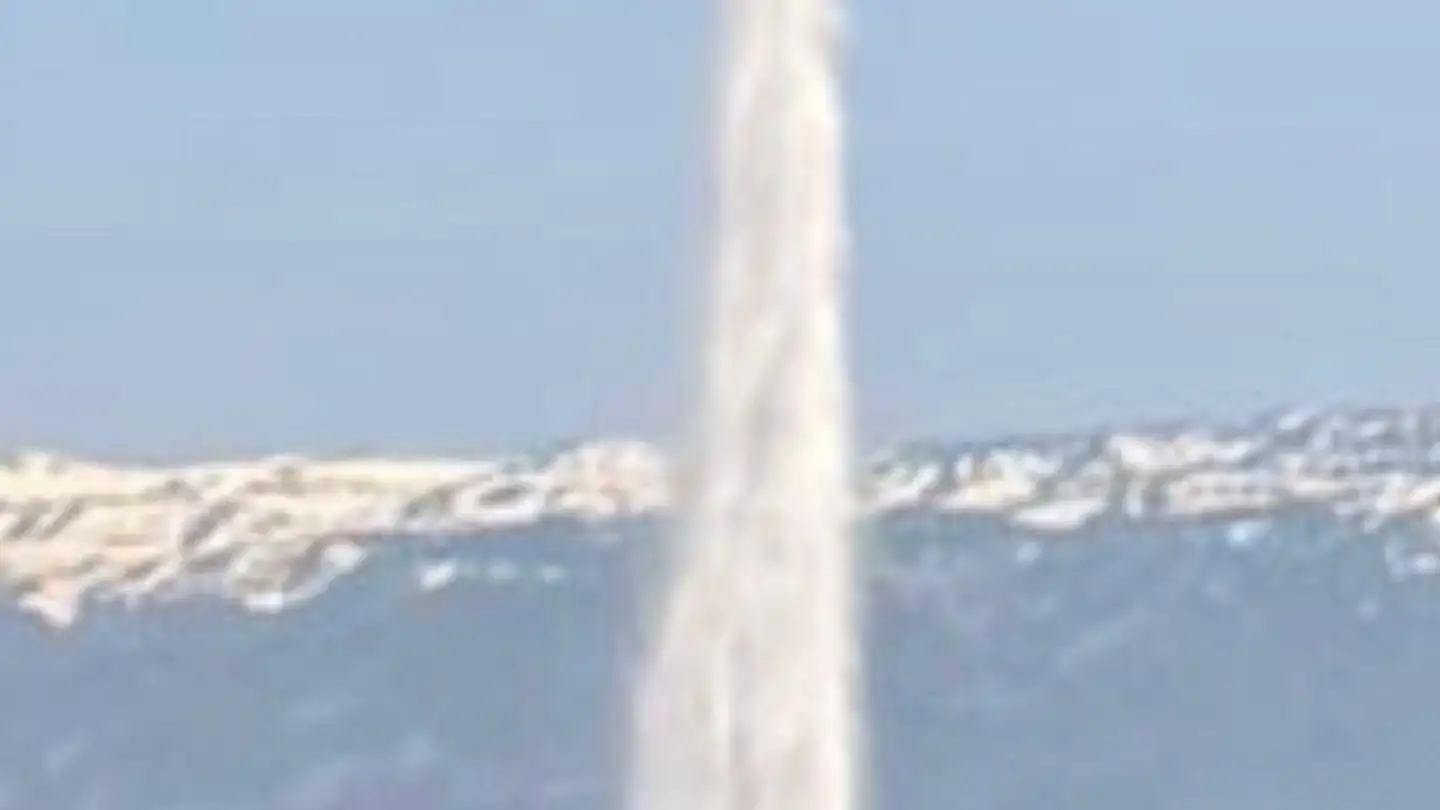 Wohnung mieten - Avenue Alice-Et-William-Favre, 1207 Genève - Foto 2