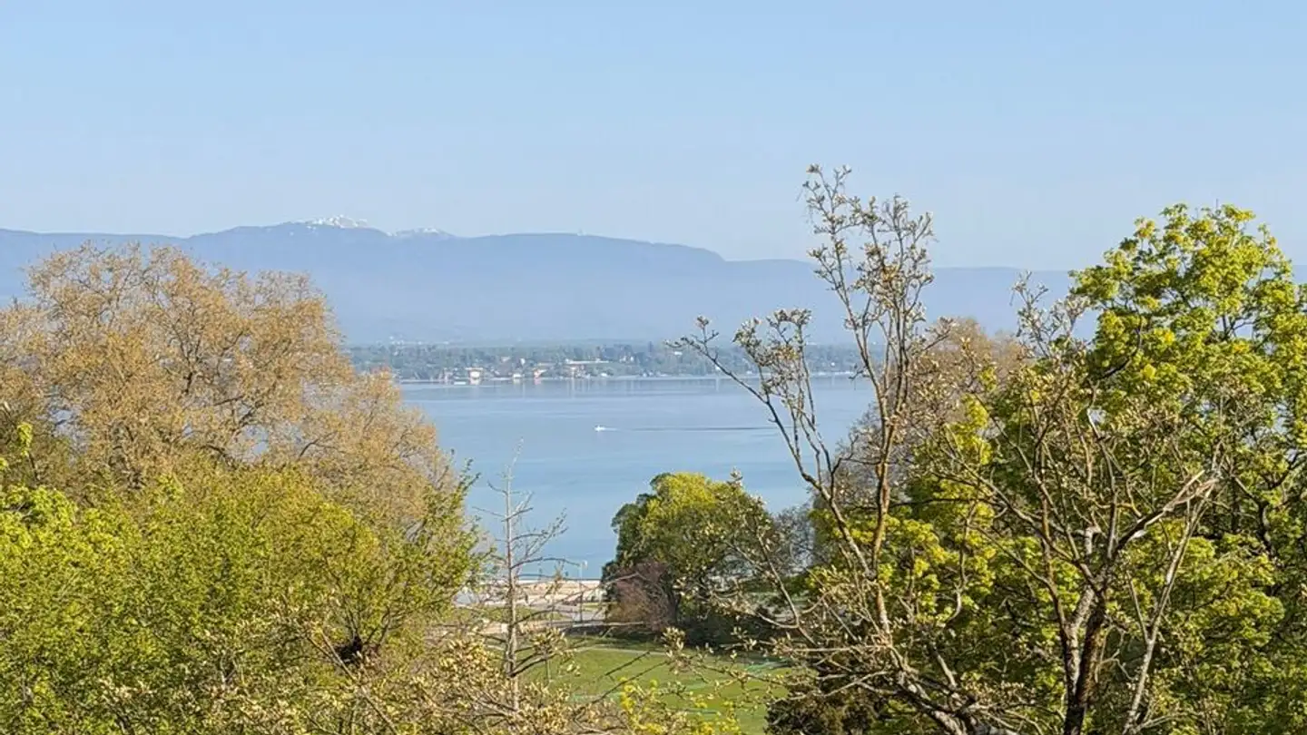 Wohnung mieten - Avenue Alice-Et-William-Favre, 1207 Genève