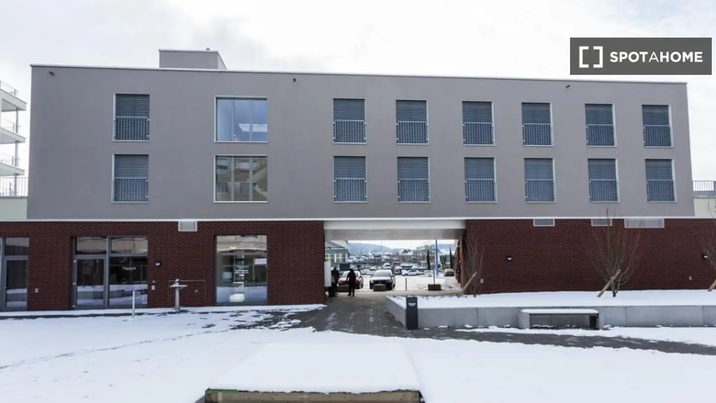 Studio in affitto - 8105 Regensdorf - Photo 2