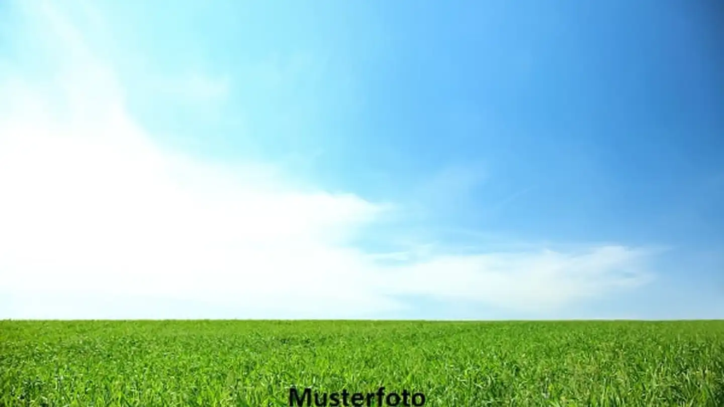 Constructible plot for sale - 1434 Ependes VD