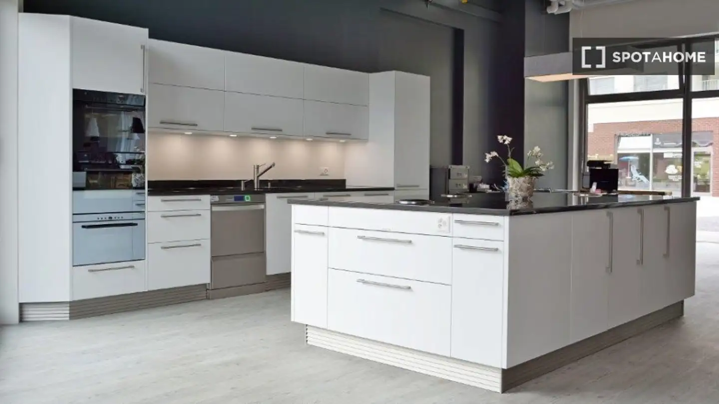 Studio in affitto - 8105 Regensdorf - Photo 3