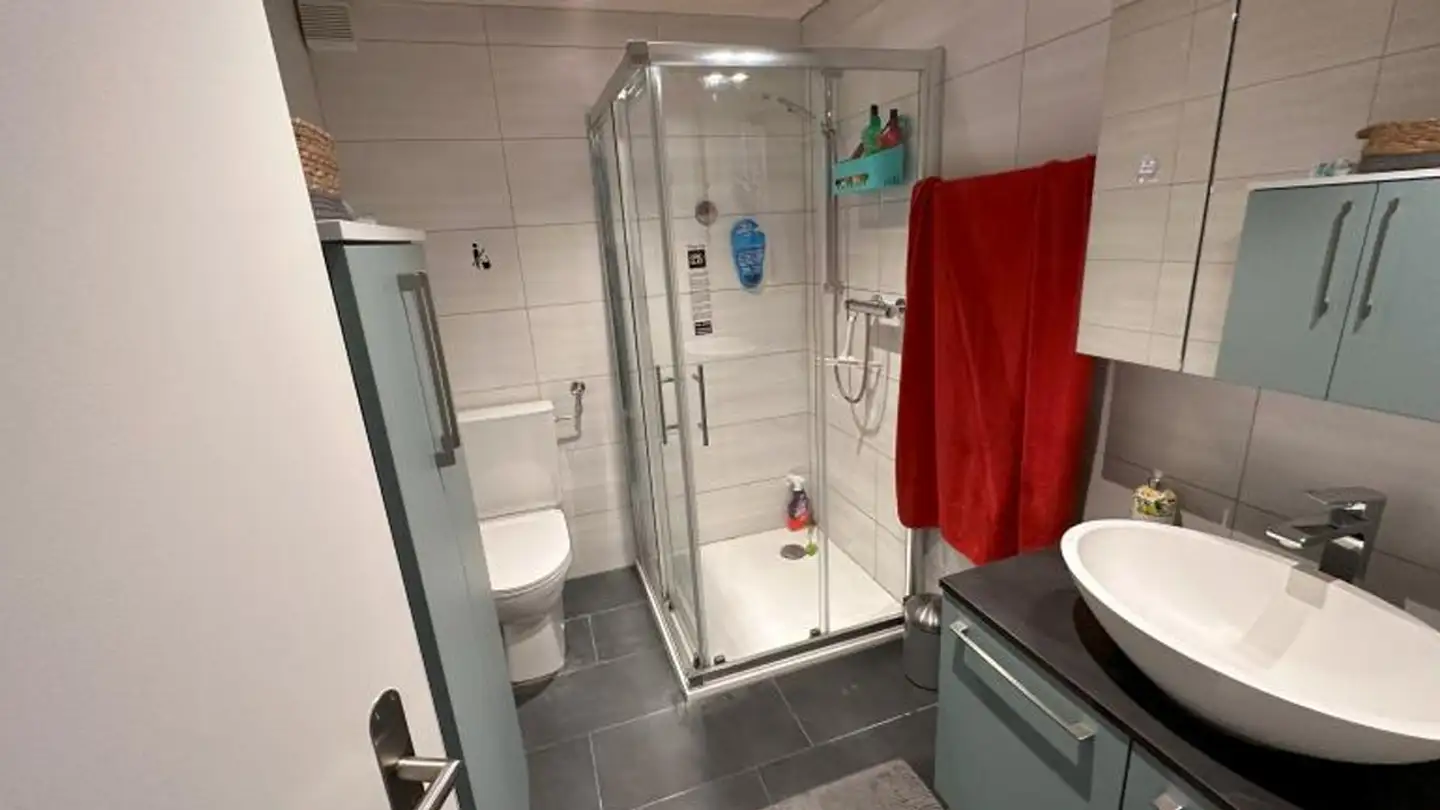 Appartamento in affitto - Bergstrasse 33, 8962 Bergdietikon - Foto 4
