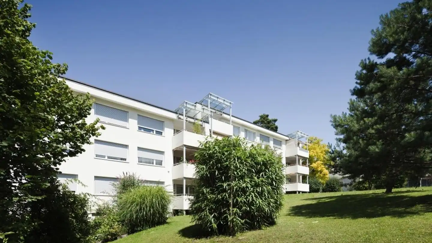 Appartement à louer - Trichtenhauser Strasse 38, 8125 Zollikerberg
