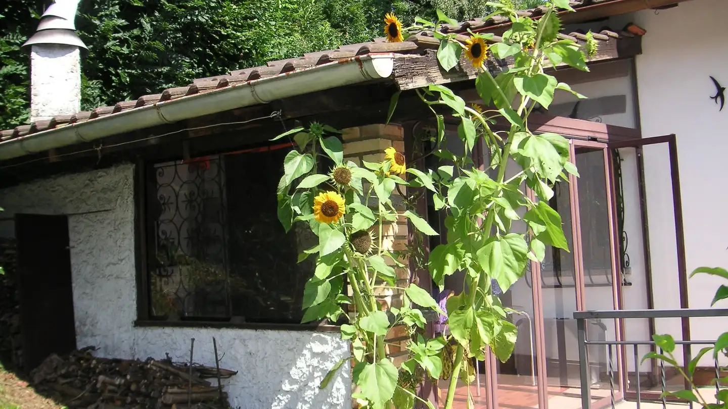 Maison jumelle à vendre - 6914 Carona - Photo 3