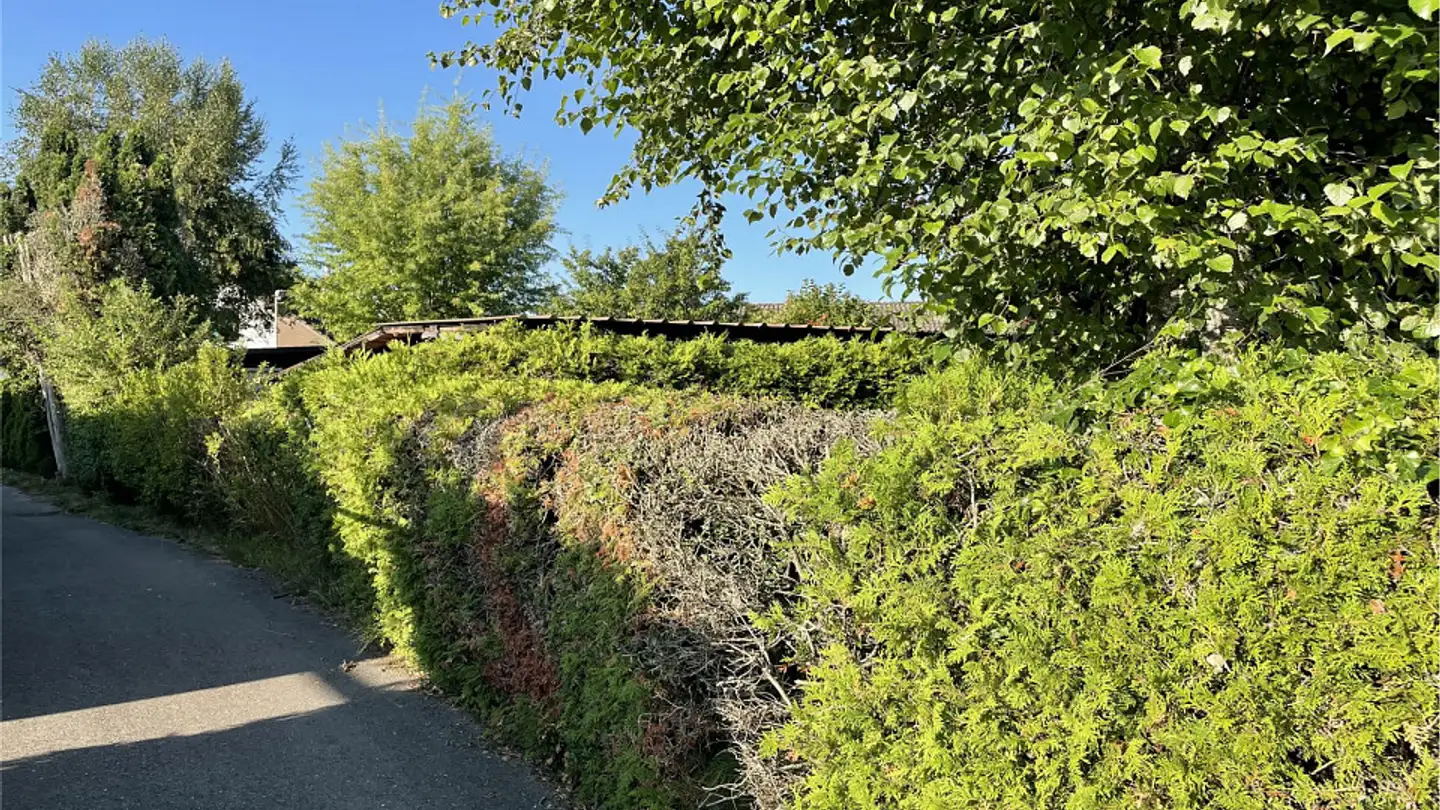 Terreno edificabile in vendita - 1544 Gletterens