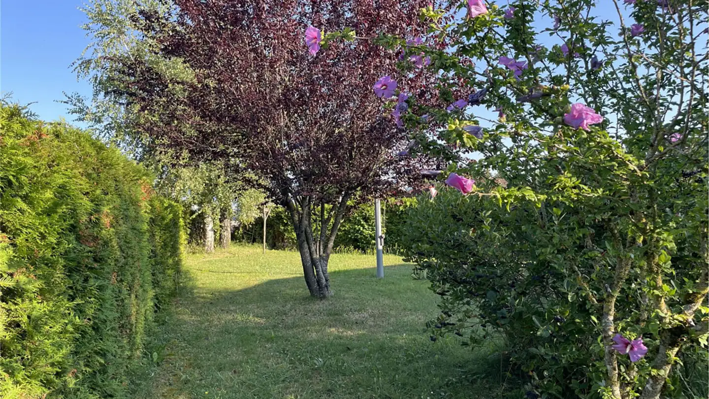 Farm for sale - 1544 Gletterens