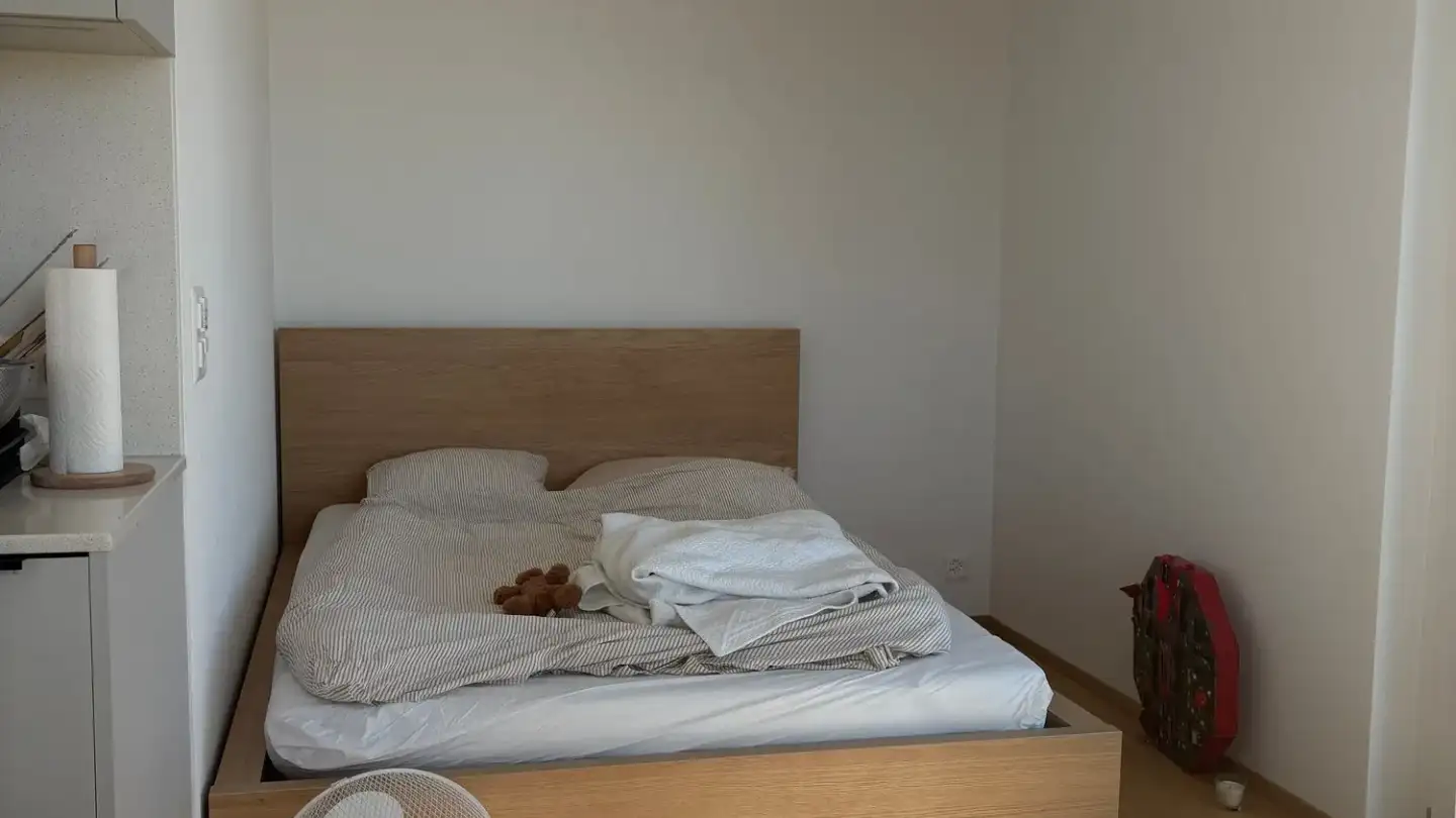 Studio in affitto - Rapperswilerstrasse, 8620 Wetzikon ZH - Foto 3