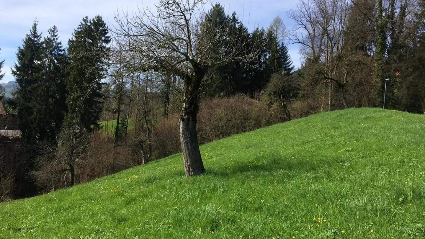 Constructible plot for sale - Kallessergasse, 9437 Marbach SG - Photo 4