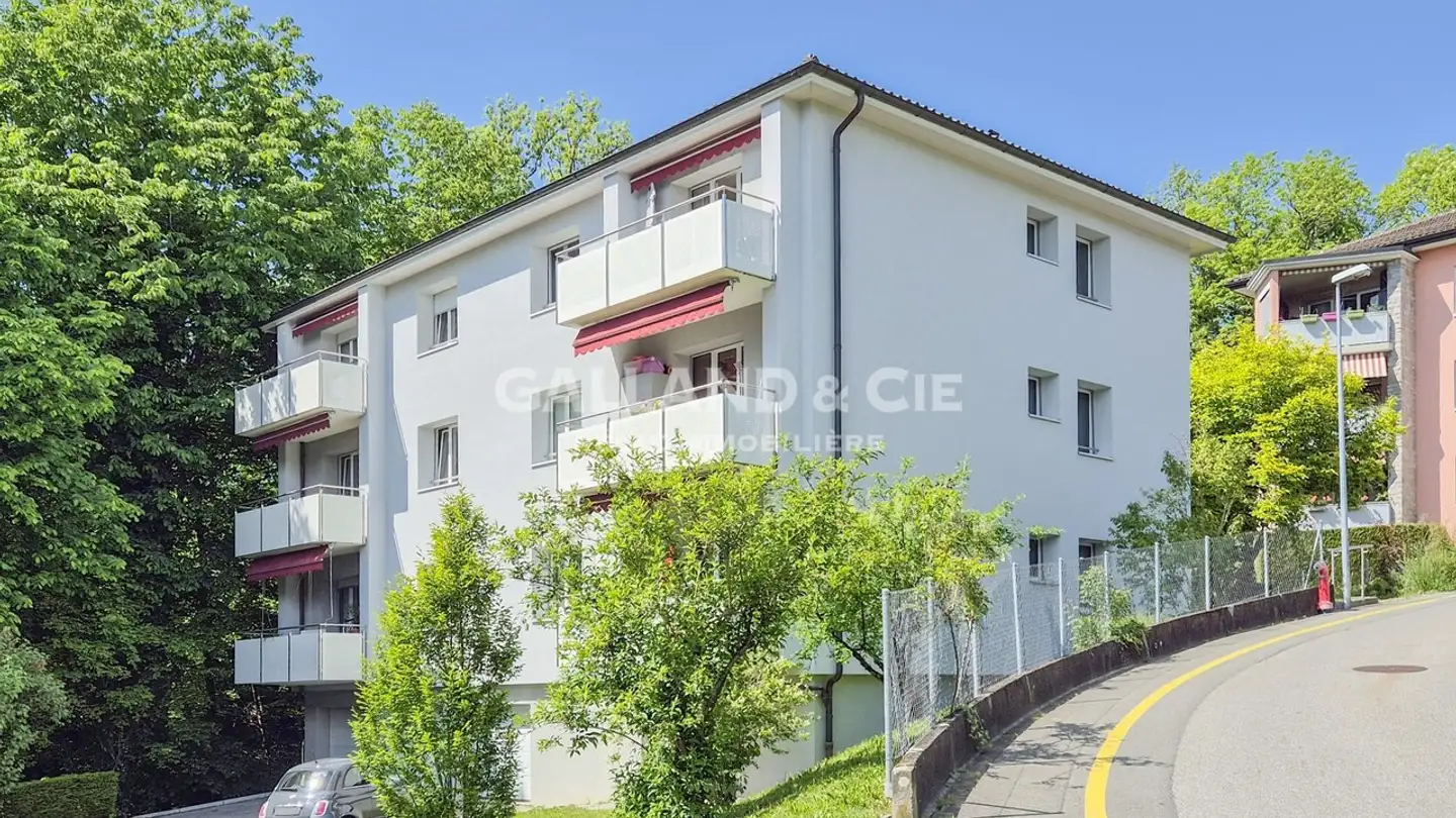 Appartamento in affitto - Chemin De Champ-Rond 19, 1010 Lausanne