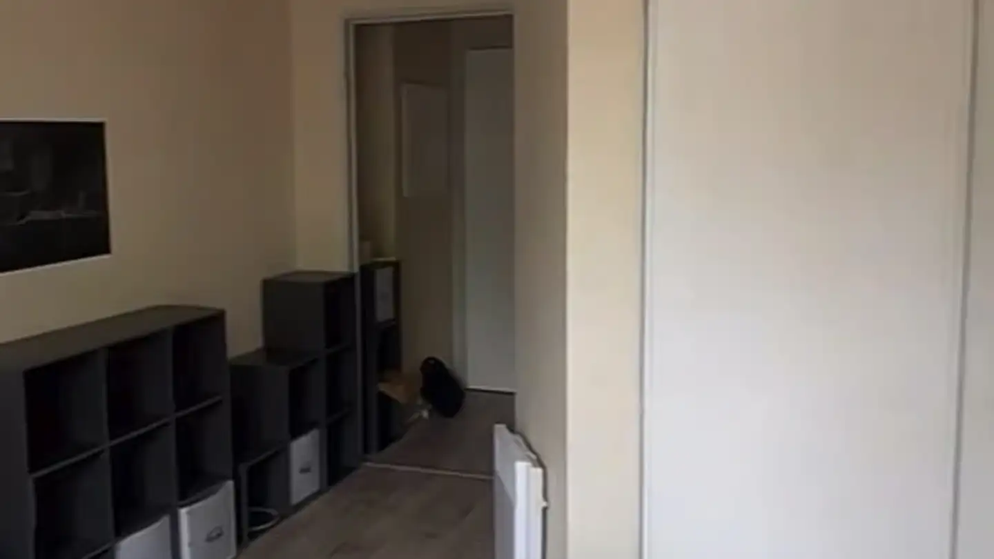 Apartment for rent - Birmensdorferstrasse 483, 8055 Zürich - Photo 2