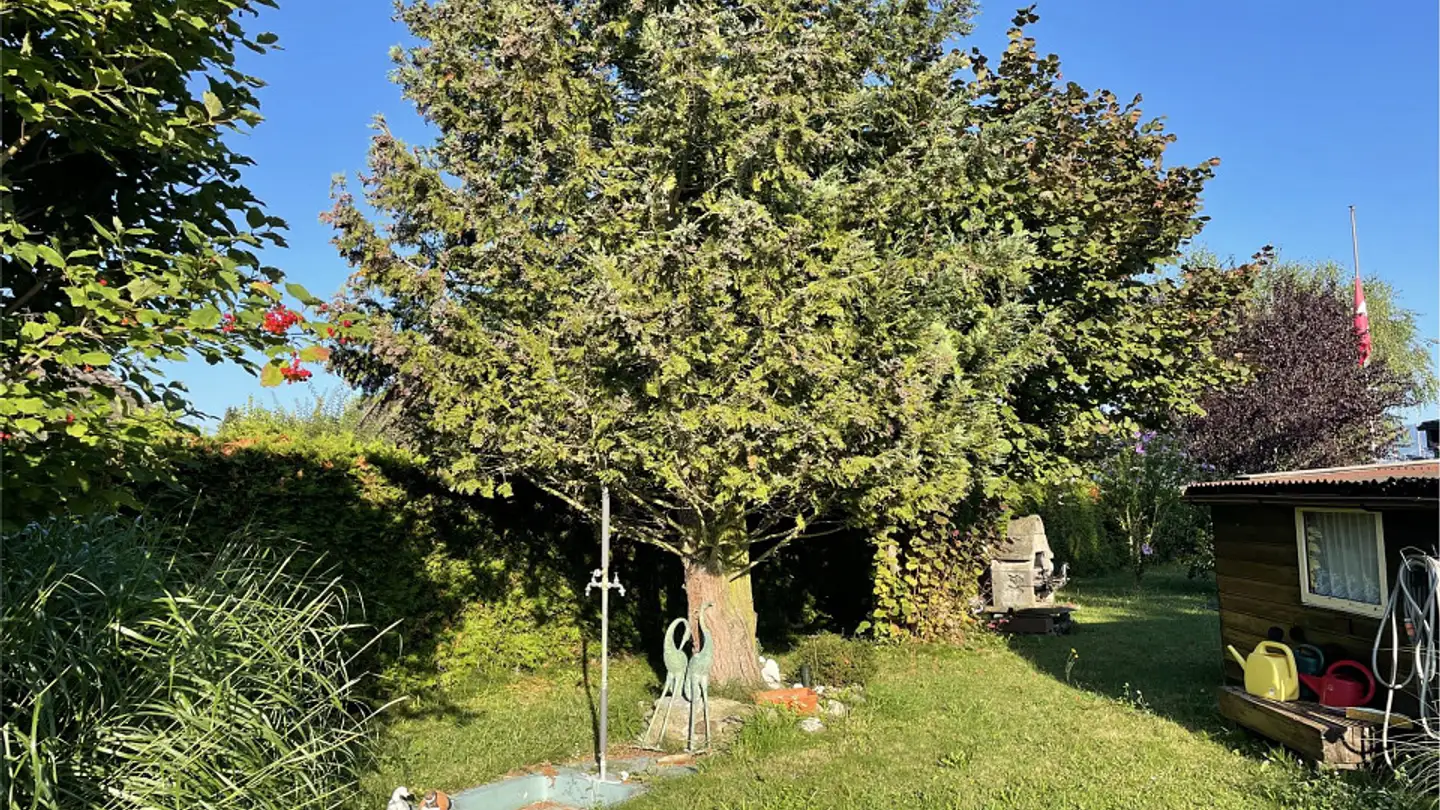 Terreno edificabile in vendita - 1544 Gletterens - Foto 3