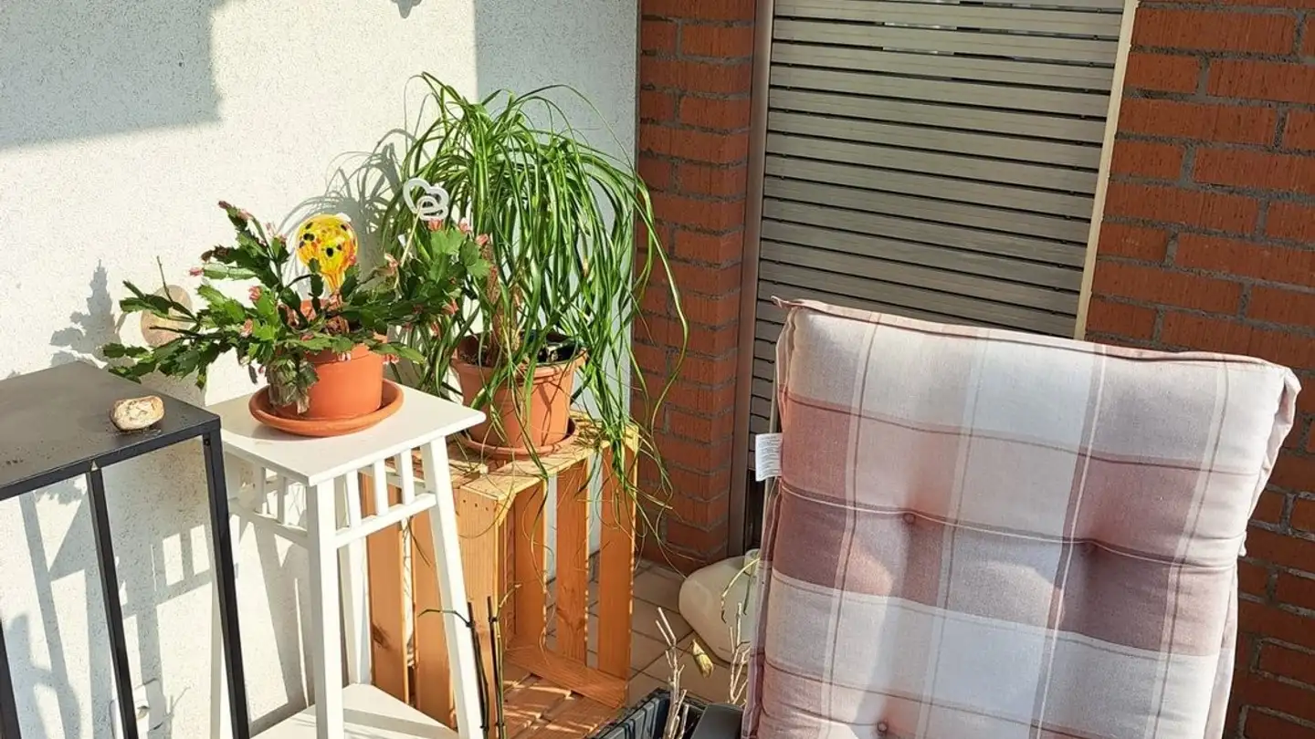 Apartment for rent - Via Rovedo 6, 6600 Locarno - Photo 3