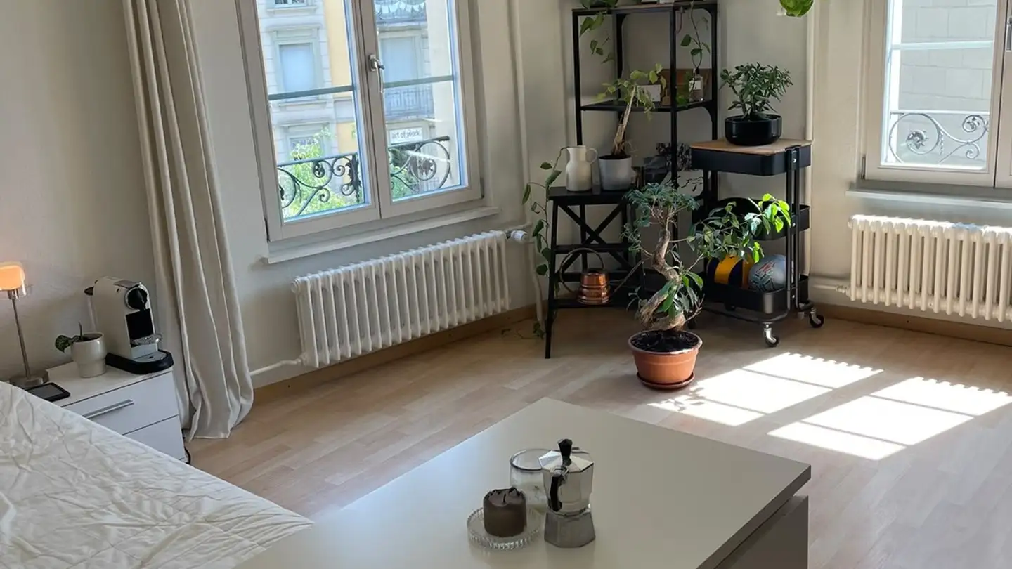 Appartement meublé à louer - Hertensteinstrasse 2, 6004 Luzern