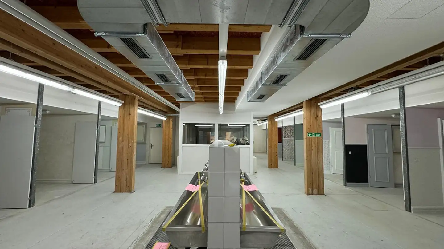 Commercial à louer - Kanalstrasse 17, 4415 Lausen - Photo 3