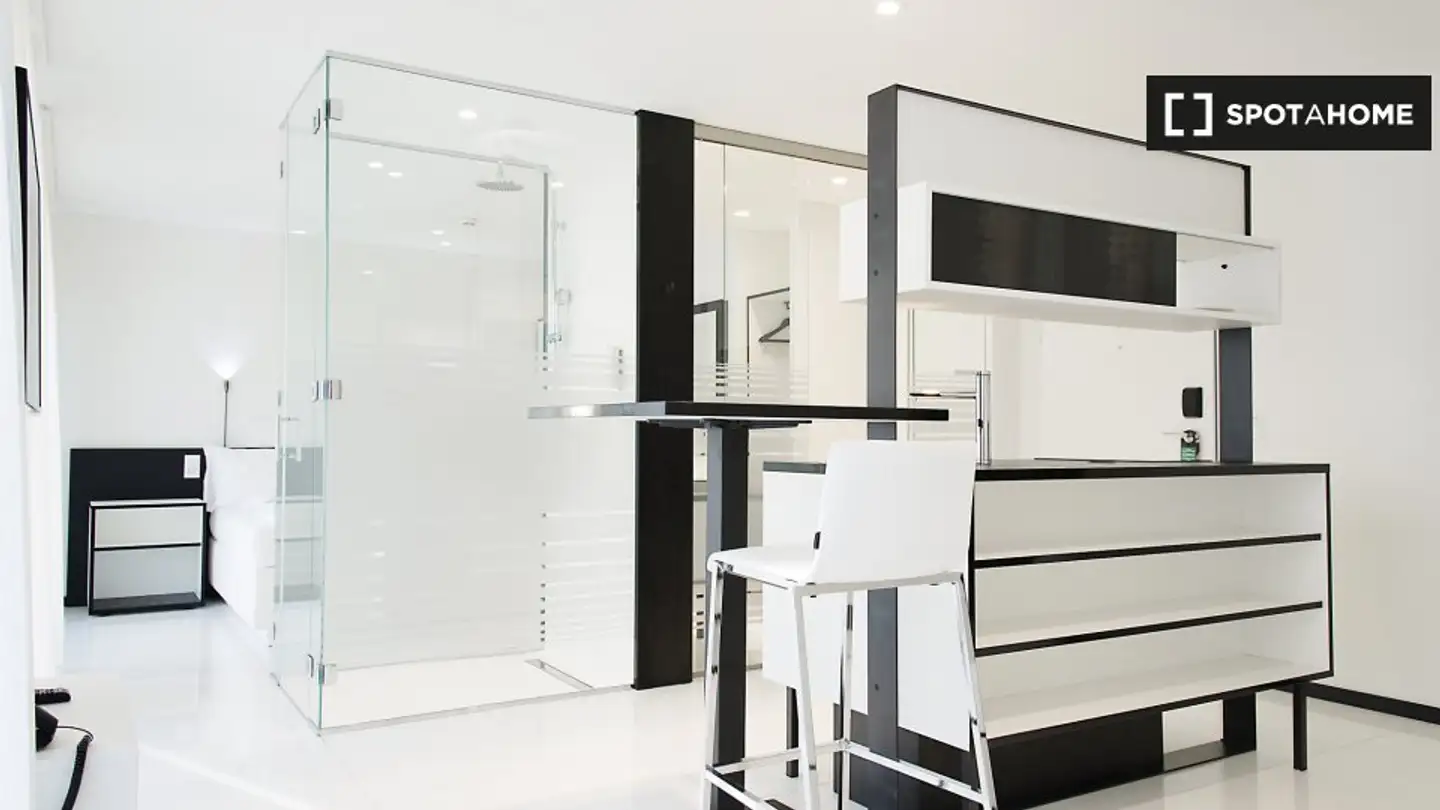 Studio in affitto - 8105 Regensdorf - Photo 4