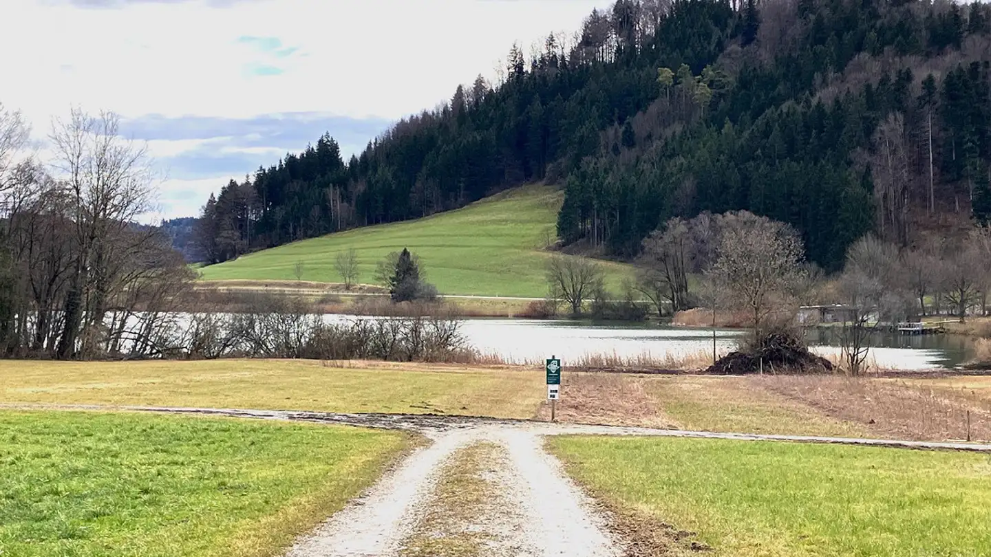 Entreprise agricole à vendre - Seelmatten 821, 8488 Turbenthal