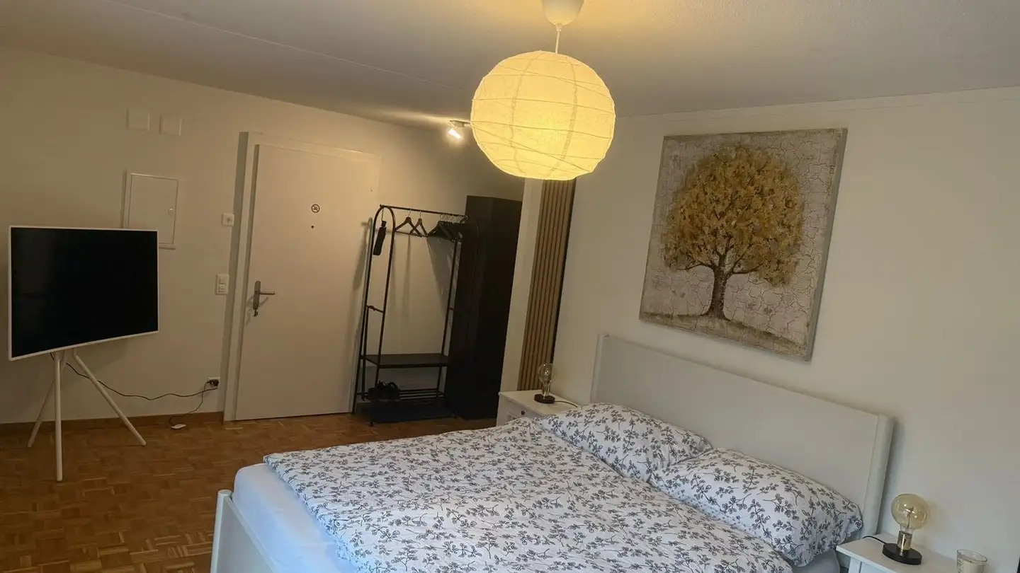 Möblierte Wohnung mieten - 6004 Luzern