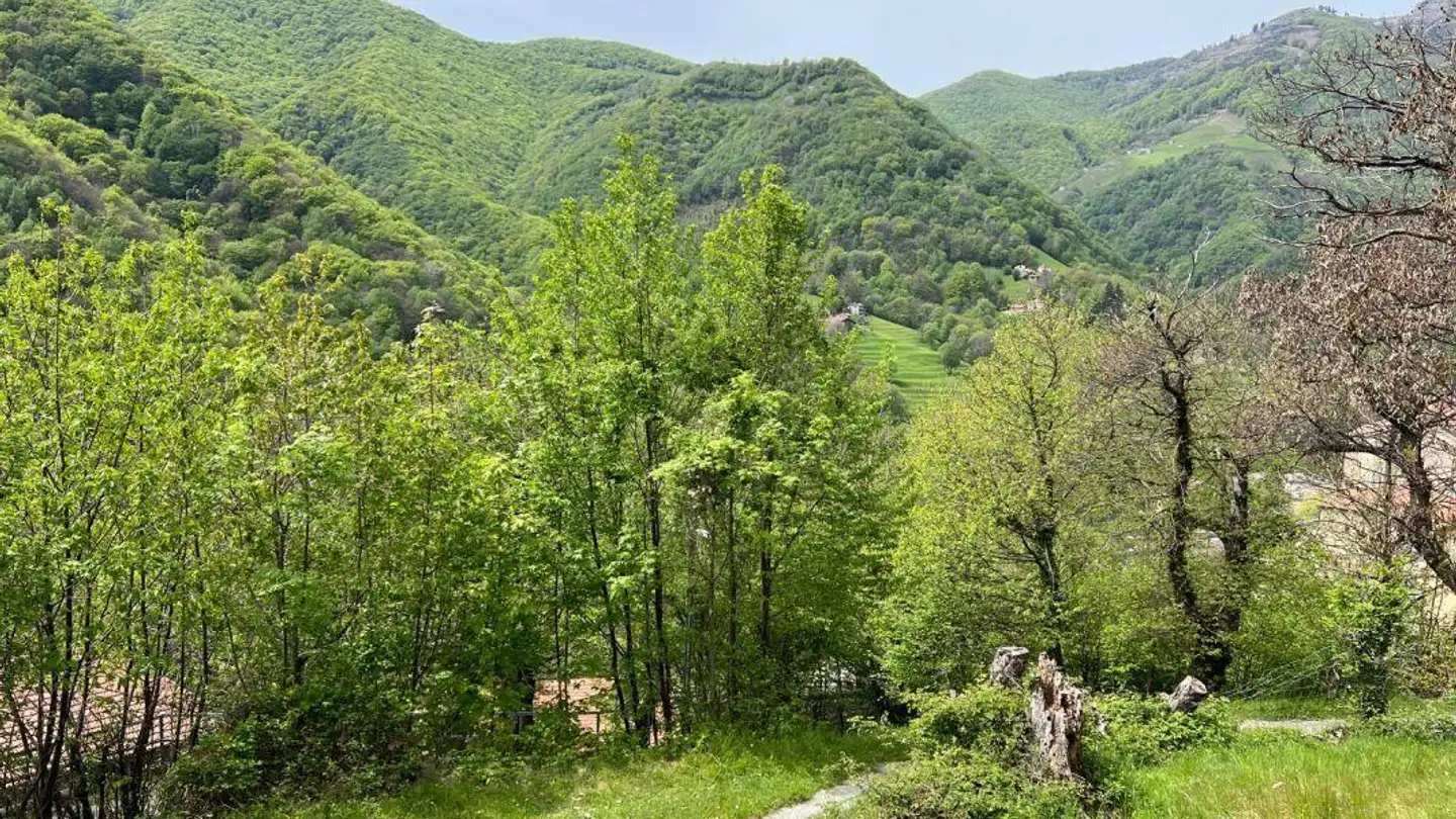 Terrain constructible à vendre - 6838 Muggio