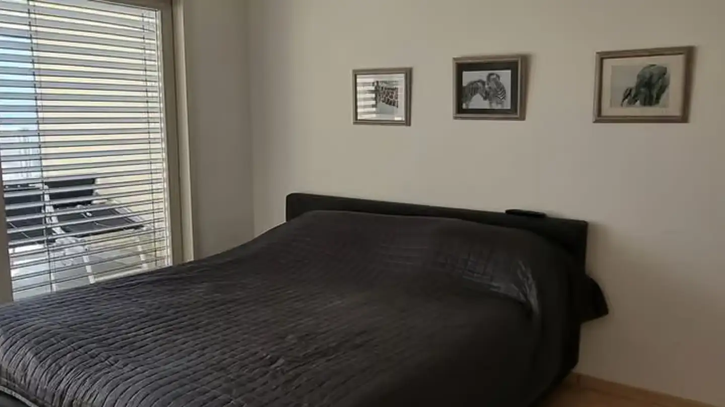 Apartment for rent - 6318 Walchwil - Photo 3