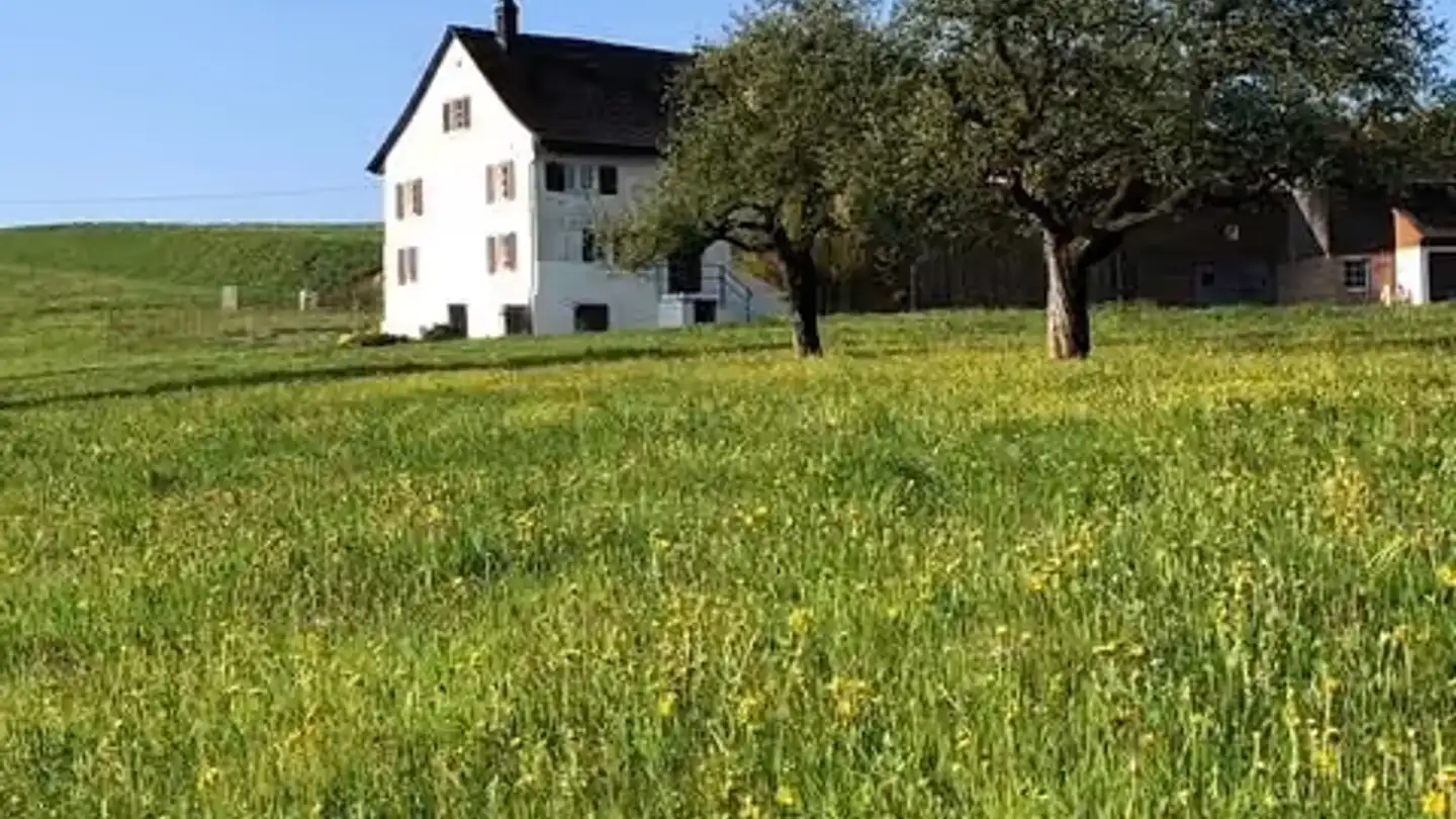 Einfamilienhaus mieten - Eschtürlistrasse 1, 8816 Hirzel