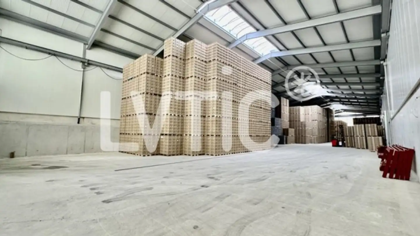 Storage space for rent - 1530 Payerne - Photo 3