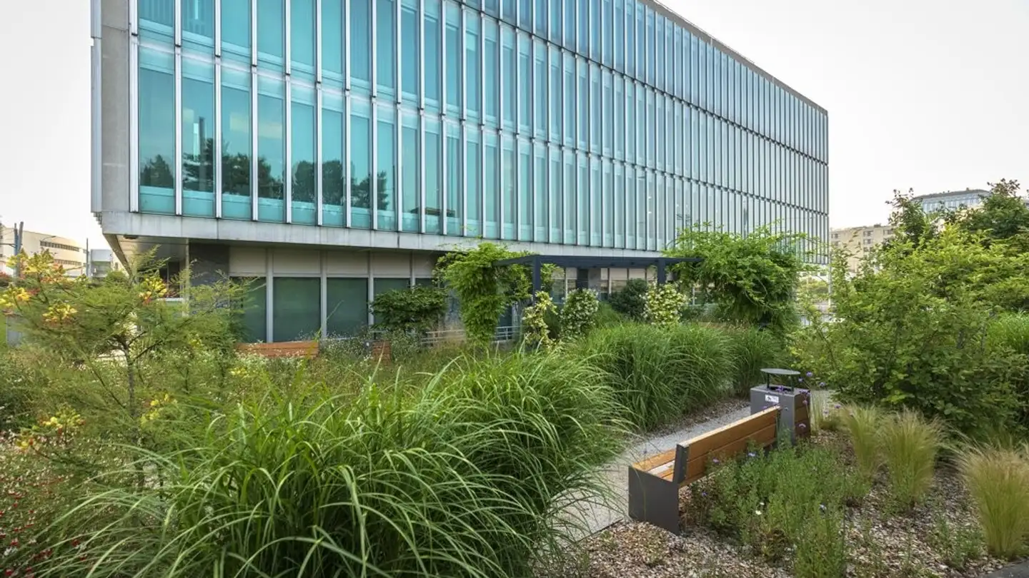 Bürofläche mieten - Route De Pré-Bois 29, 1215 Genève