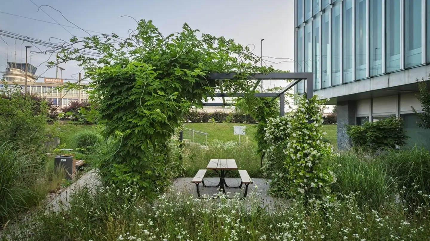 Bürofläche mieten - Route De Pré-Bois 29, 1215 Genève - Foto 2