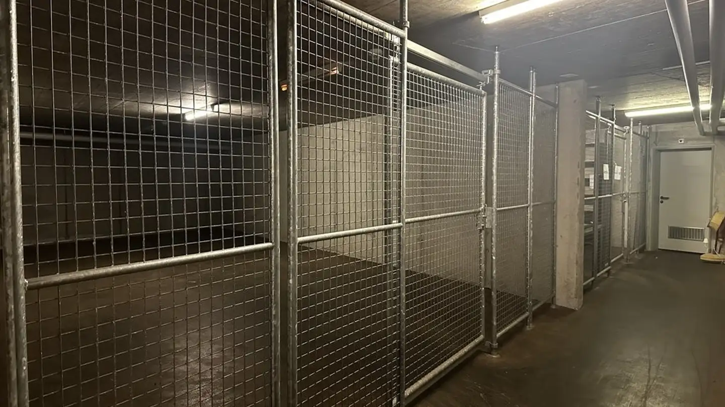 Spazio di archiviazione in affitto - Brunnhofweg 37, 3007 Bern - Foto 2