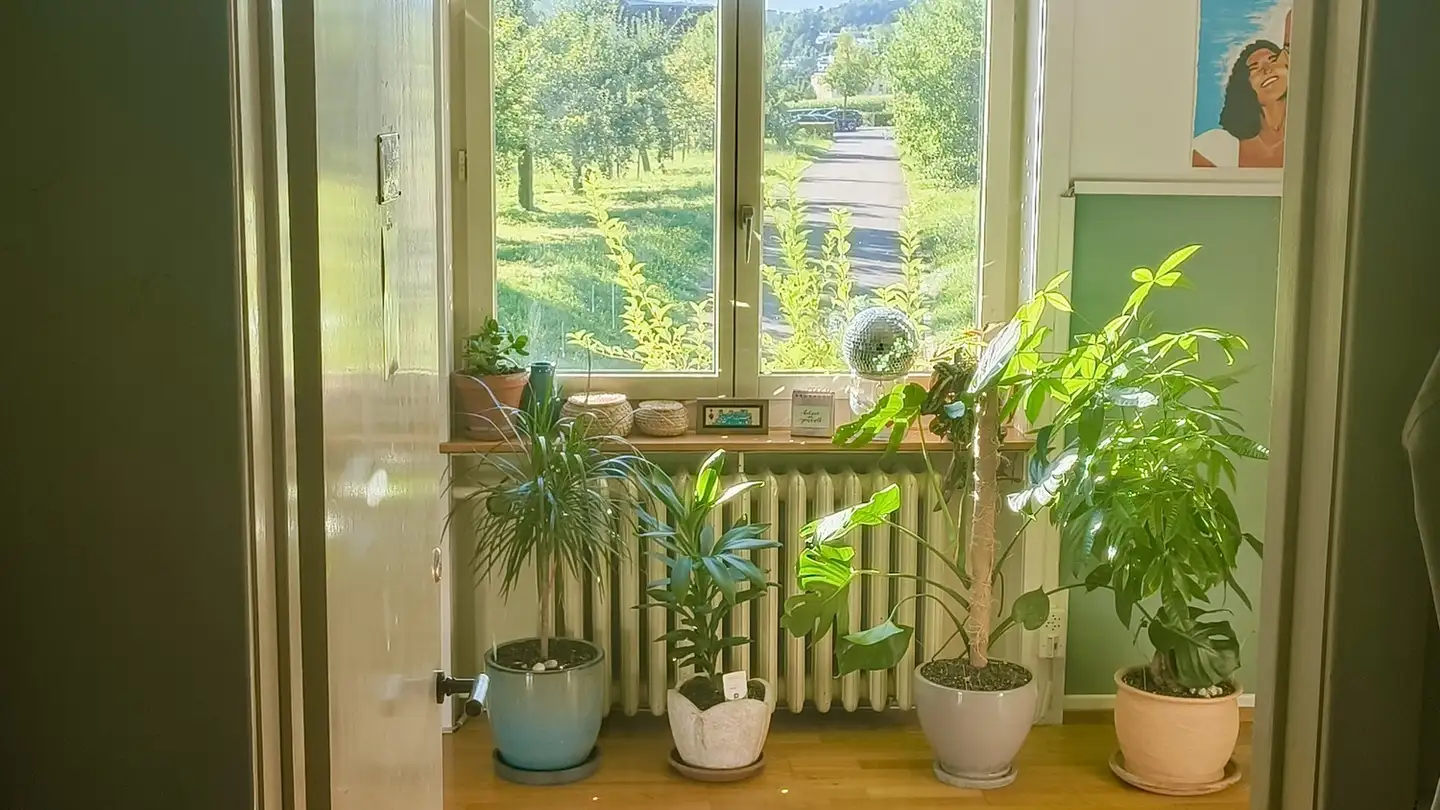 Stanza singola in affitto - 8408 Winterthur - Foto 4