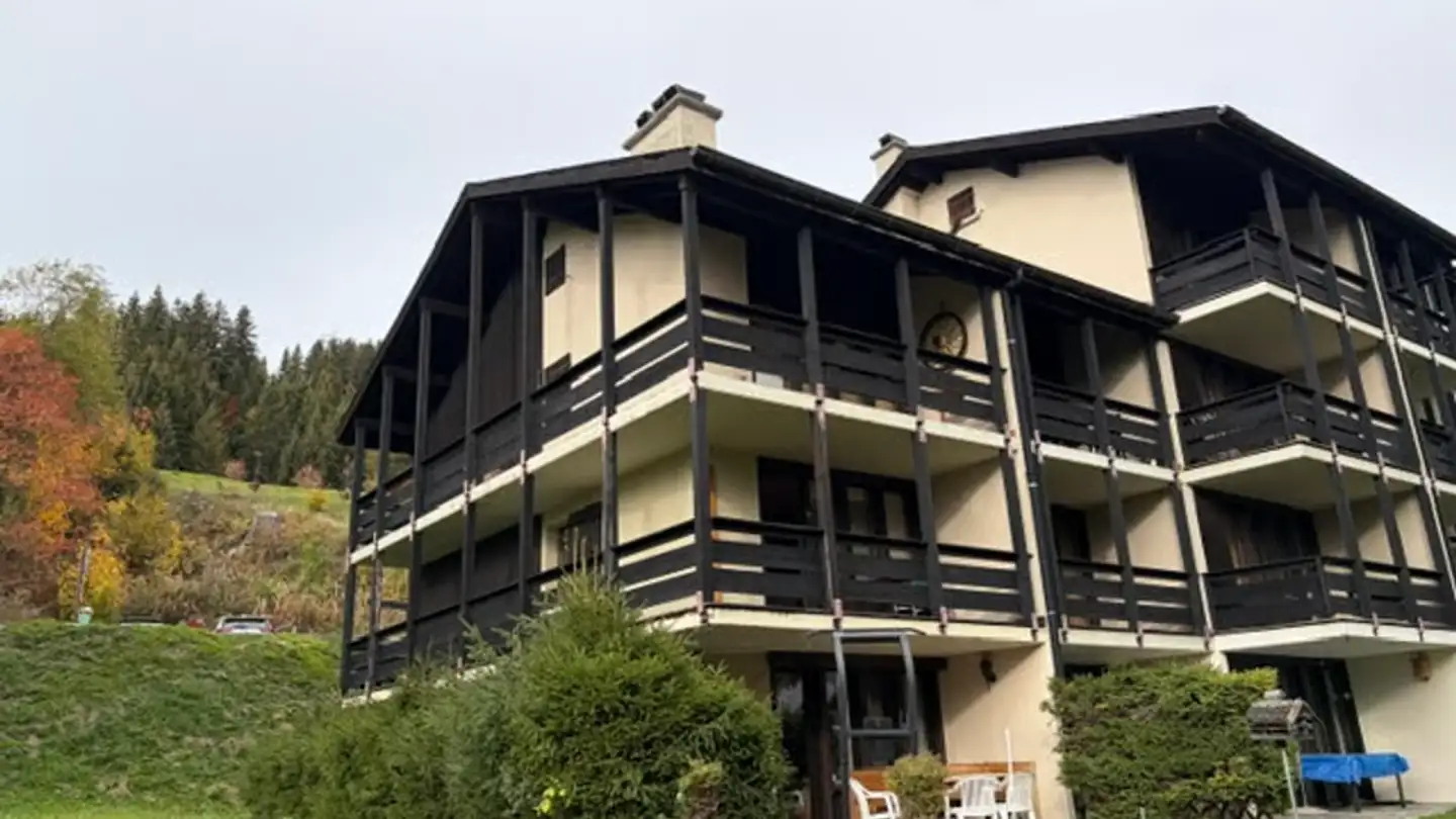 Apartment for sale - 1882 Gryon - Photo 4