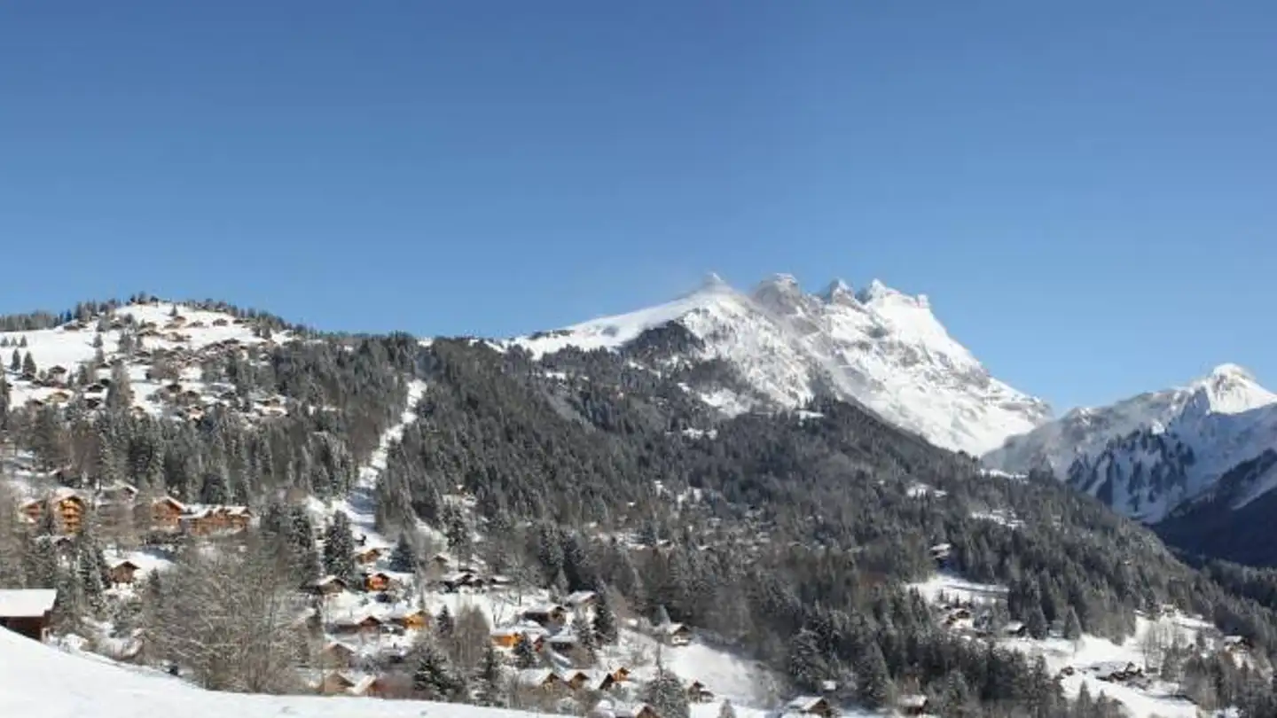 Bauland kaufen - 1884 Villars-sur-Ollon - Foto 4