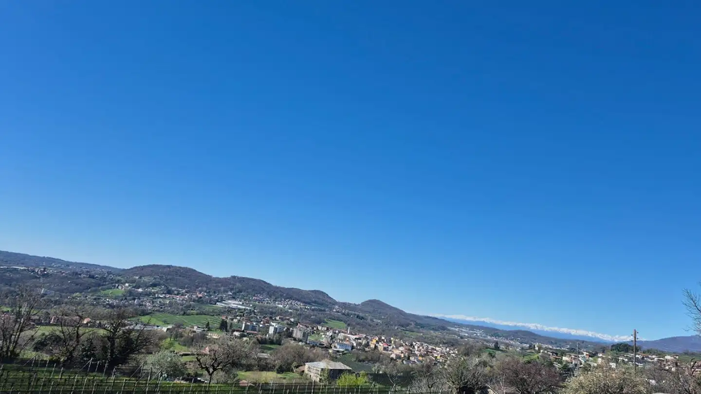Apartment for sale - Ai Ciapei, 6874 Castel San Pietro - Photo 3