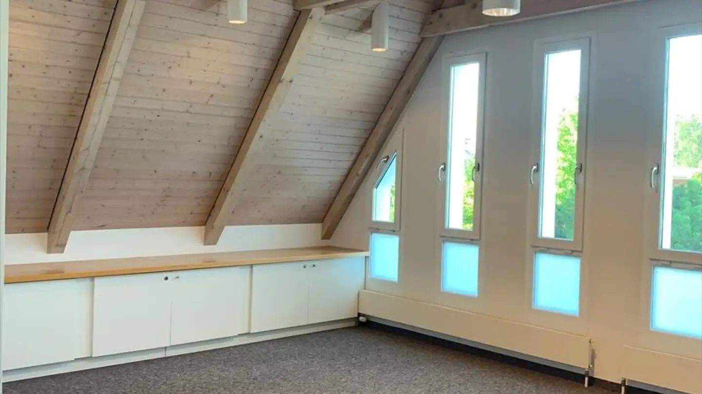 Commerciale in affitto - Chemin De Villars 2, 1290 Versoix - Foto 3