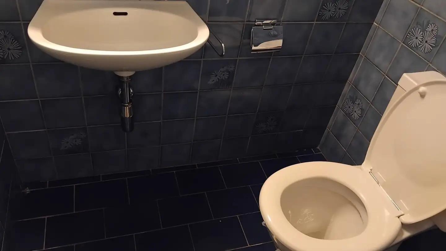 Single room for rent - Rue Gustave- Revilliod, 1227 Les Acacias - Photo 3