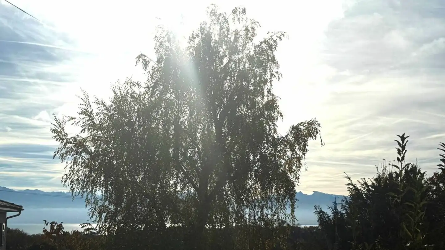 Einfamilienhaus kaufen - 1132 Lully VD - Foto 4