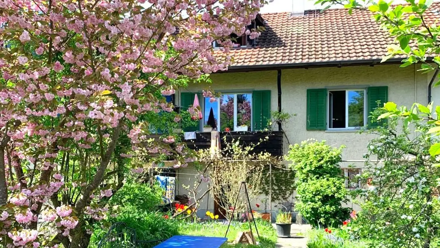 Casa a schiera in affitto - Gysulastrasse 38, 5000 Aarau