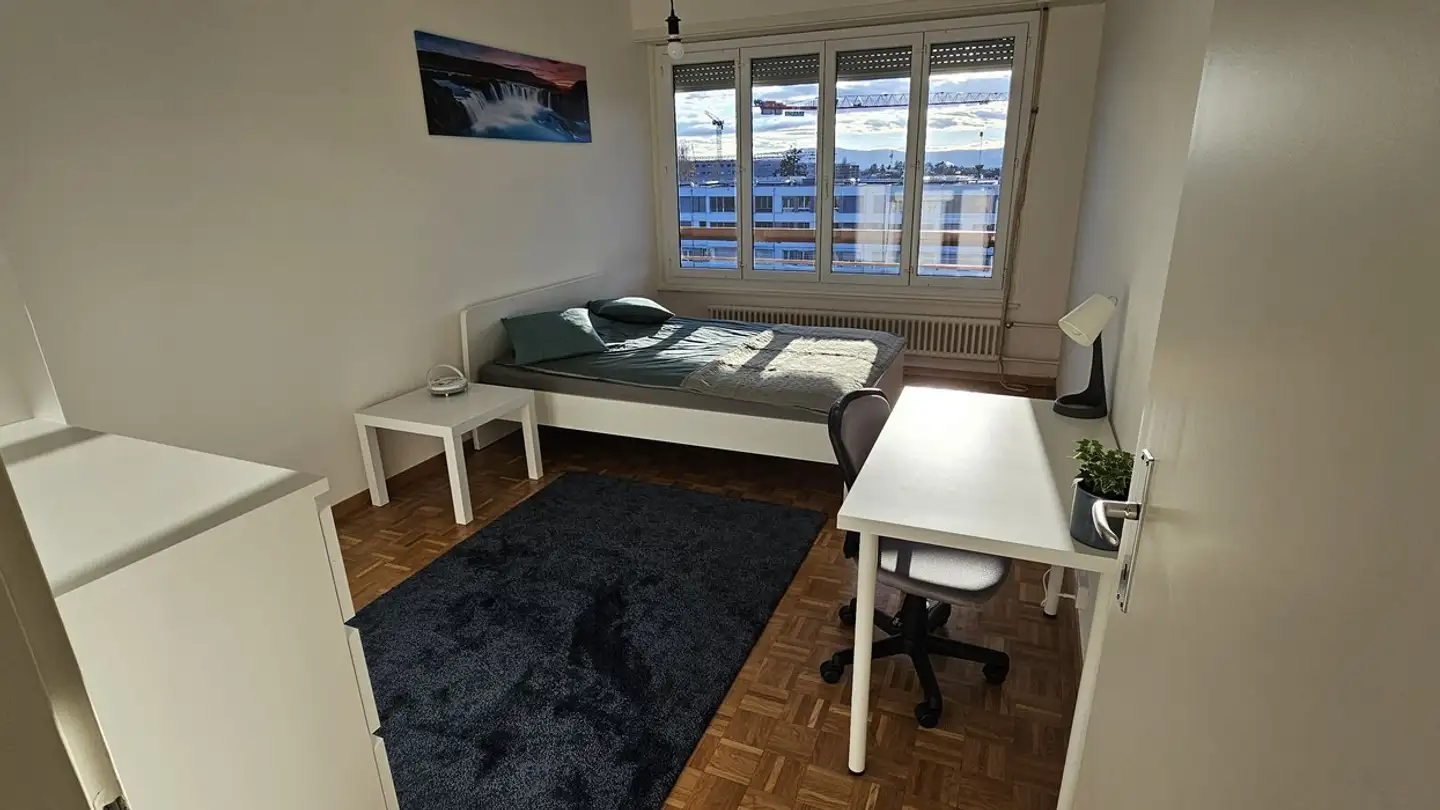 Single room for rent - Rue Des Vernes, 1217 Meyrin