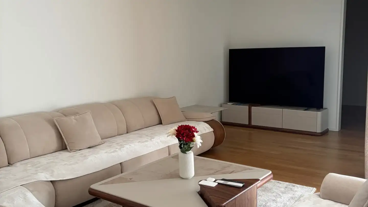 Appartement à louer - 6030 Ebikon