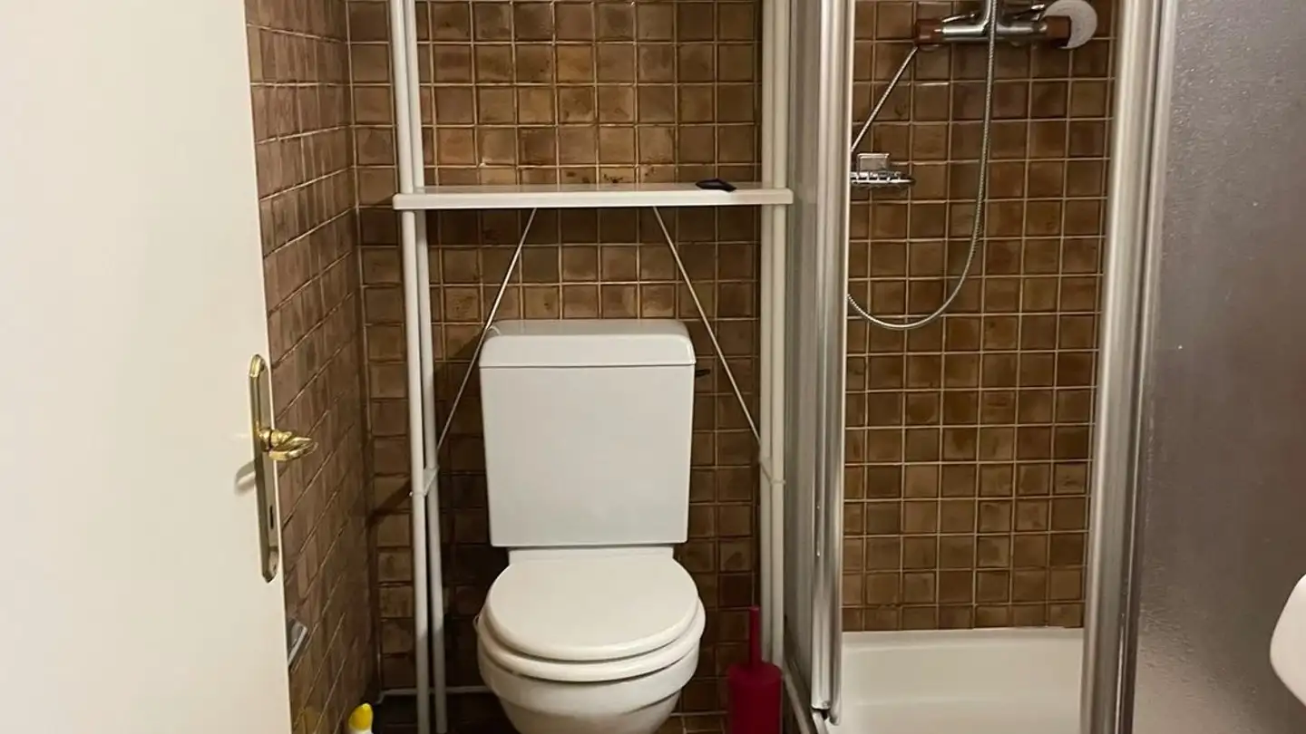Wohnung mieten - 1225 Chêne-Bourg - Foto 4