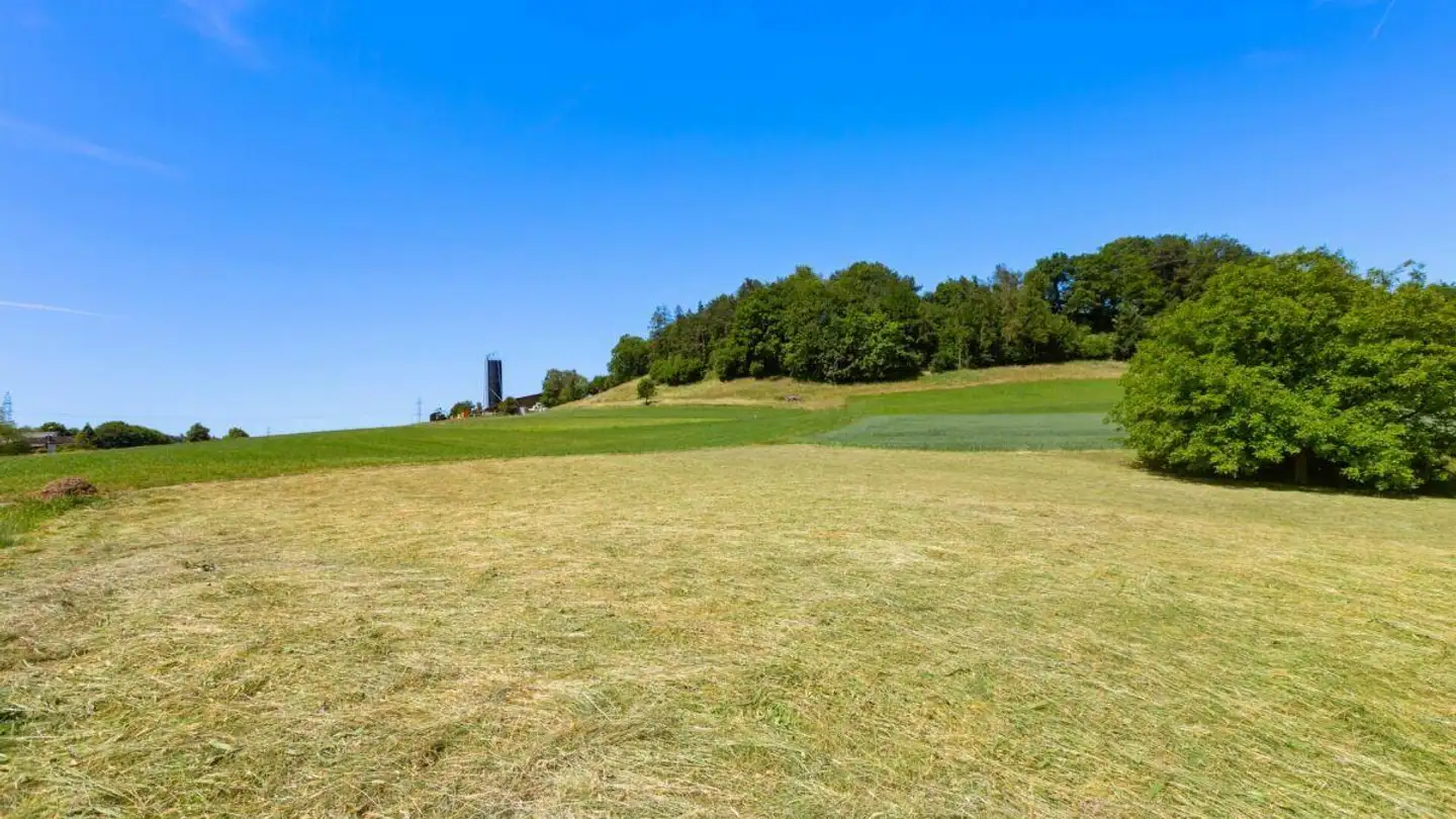 Terrain constructible à vendre - 5304 Endingen - Photo 3
